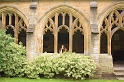 oxford dreaming